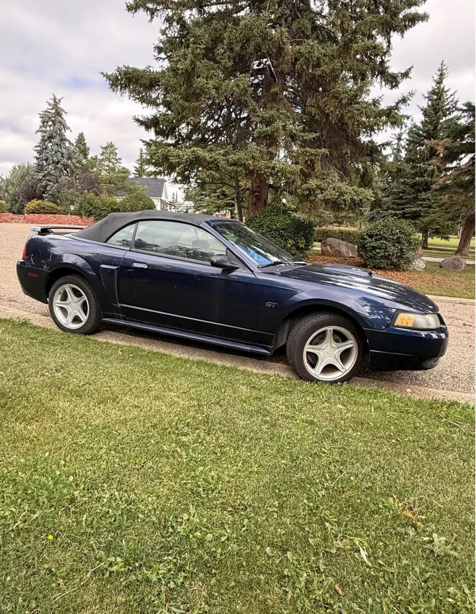 Ford Mustang 2001 photo 3