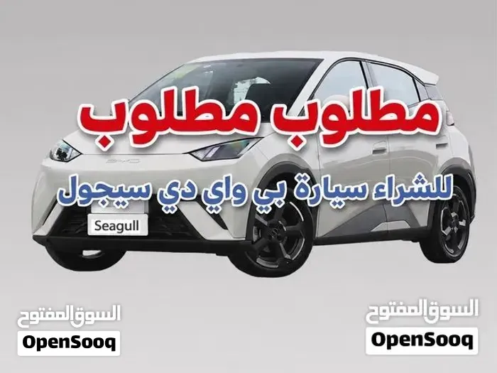 BYD Seagull
