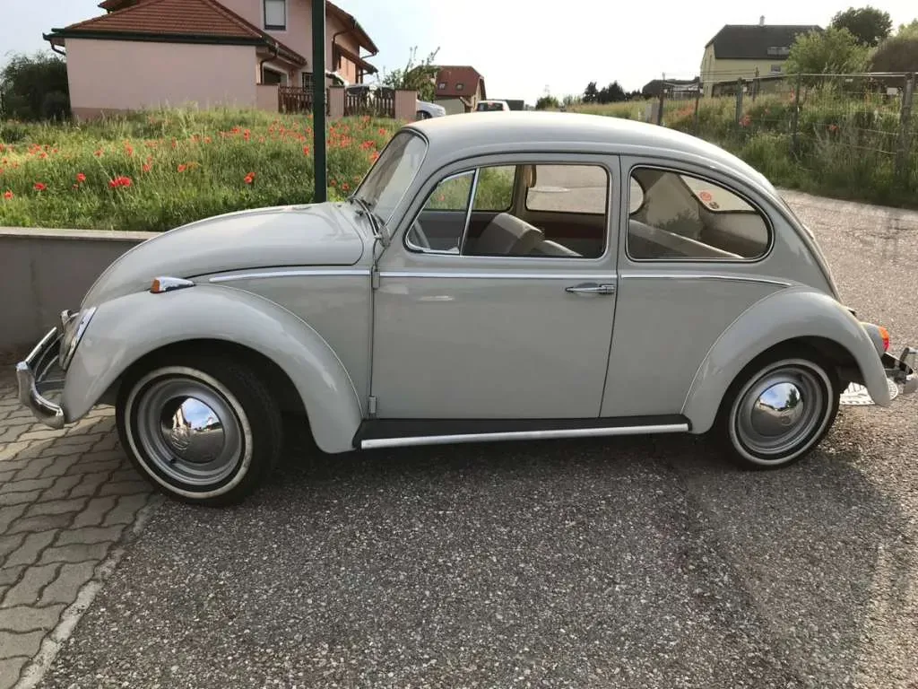 Volkswagen Käfer 1965 photo 2