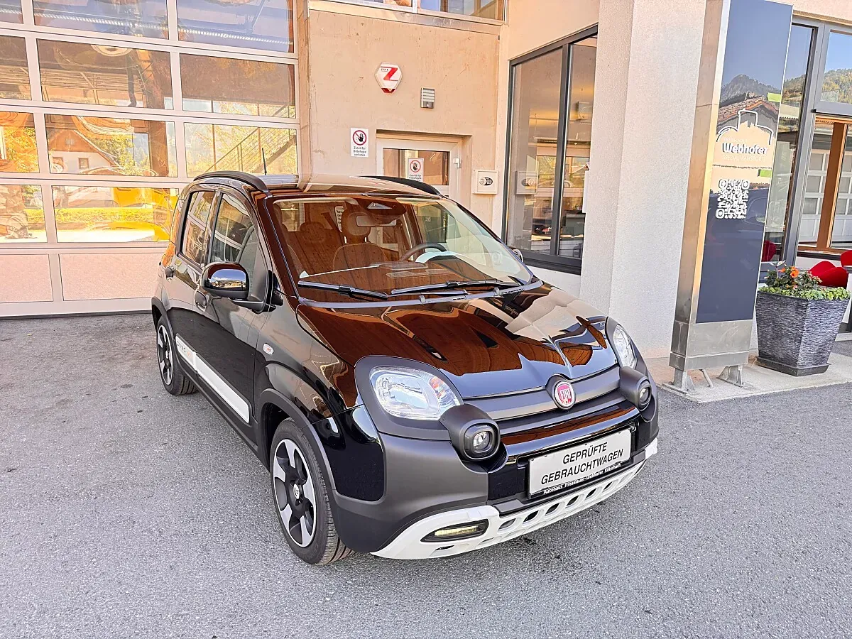 Fiat Pandina