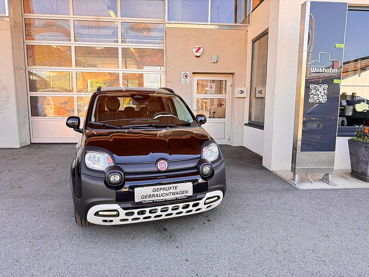 Fiat Pandina 2026 photo 2