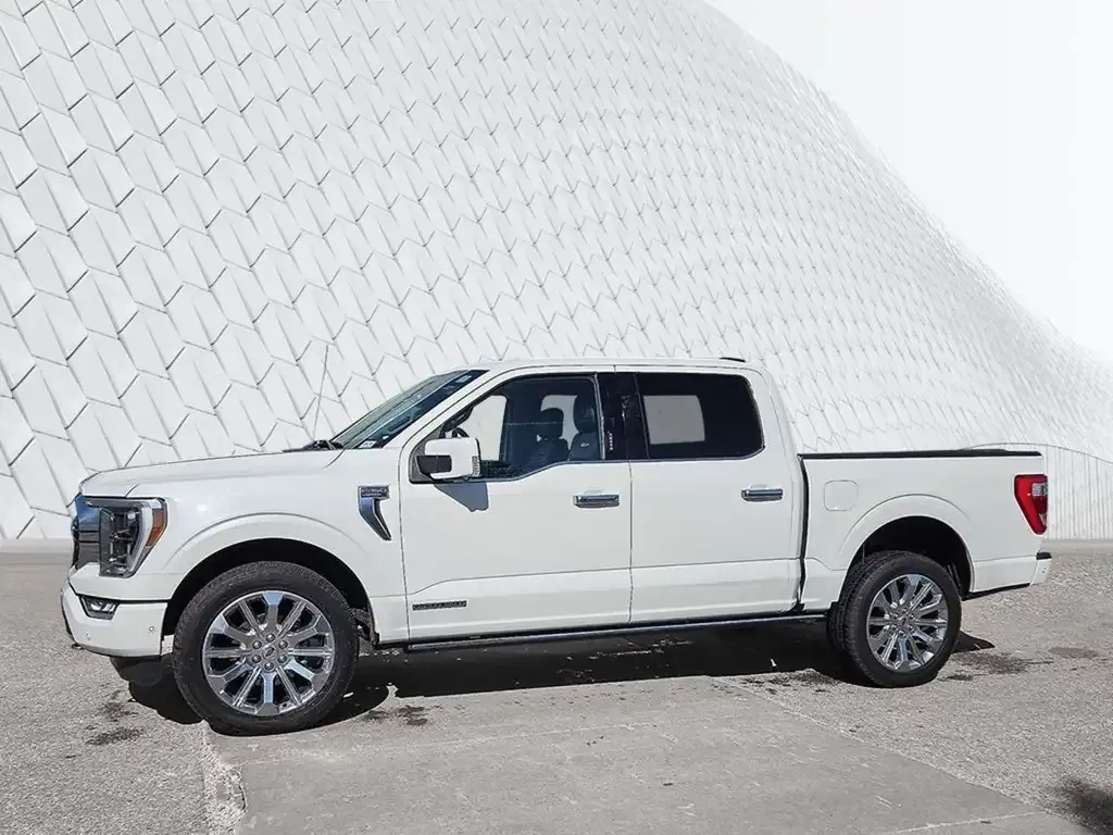Ford F-150 2023 photo 3