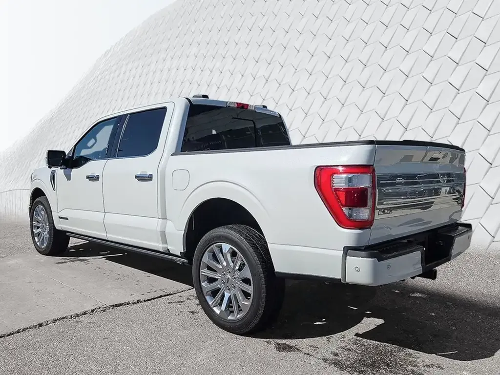 Ford F-150 2023 photo 4