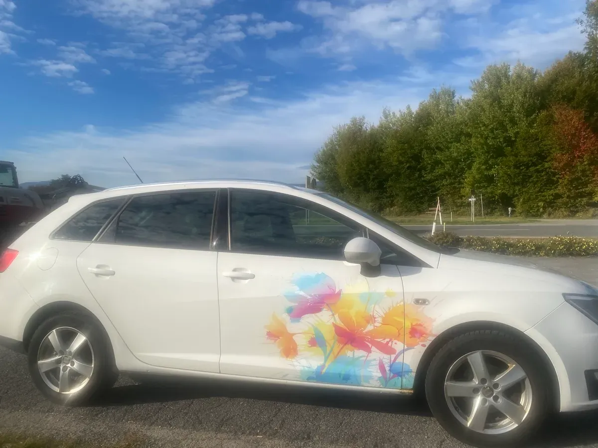 Seat Ibiza 2013 photo 2