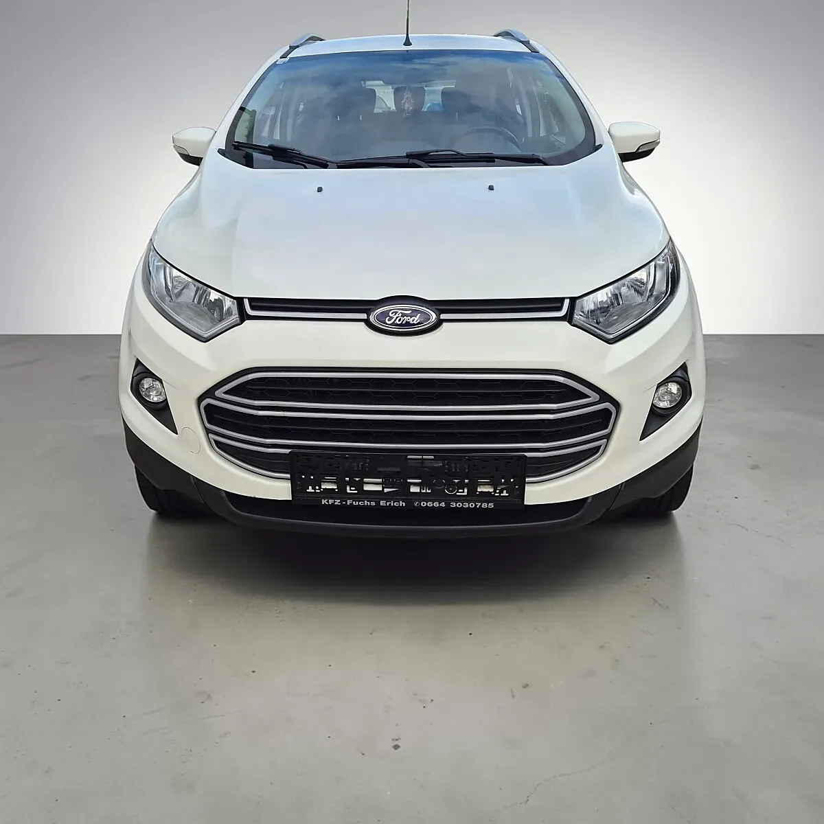 Ford Ecosport 2015 photo 2