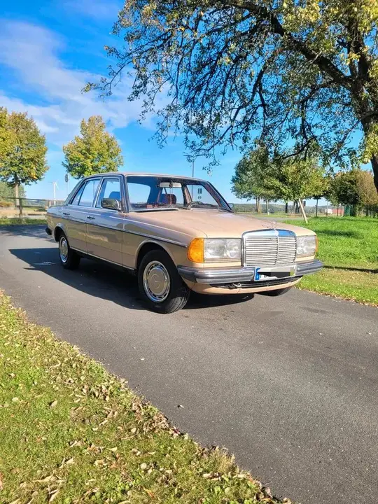 Mercedes-Benz W123