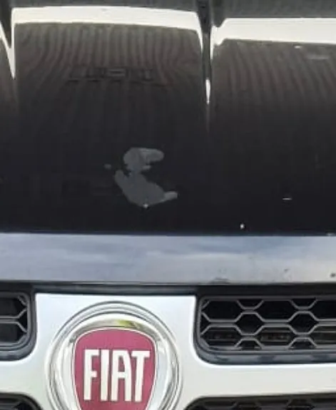 Fiat Freemont 2012 photo 2