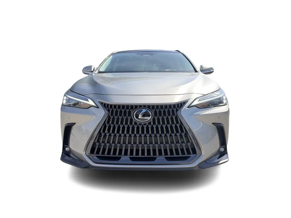 Lexus Nx 350 2024 photo 4
