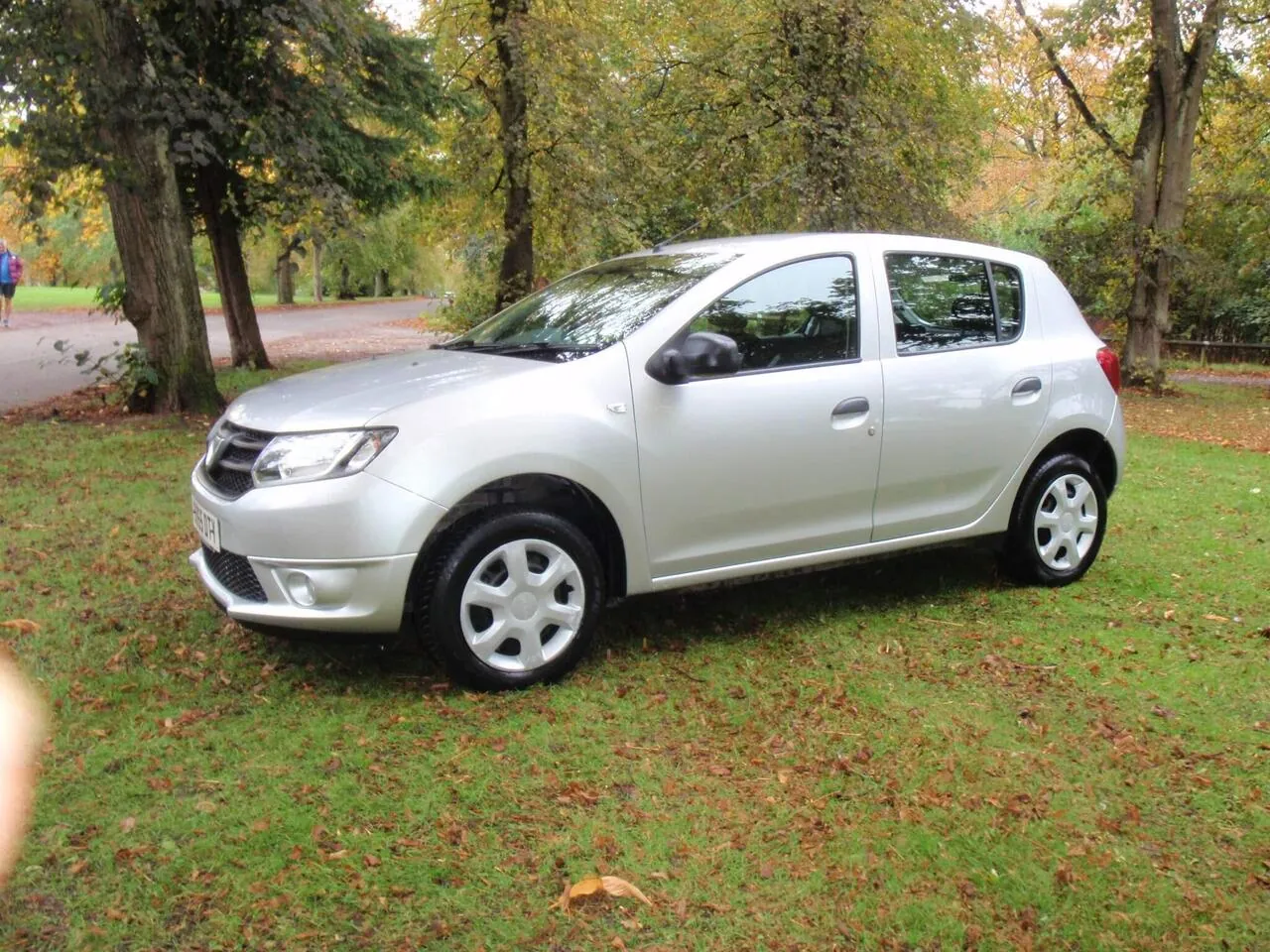 Dacia Sandero 2015 photo 2