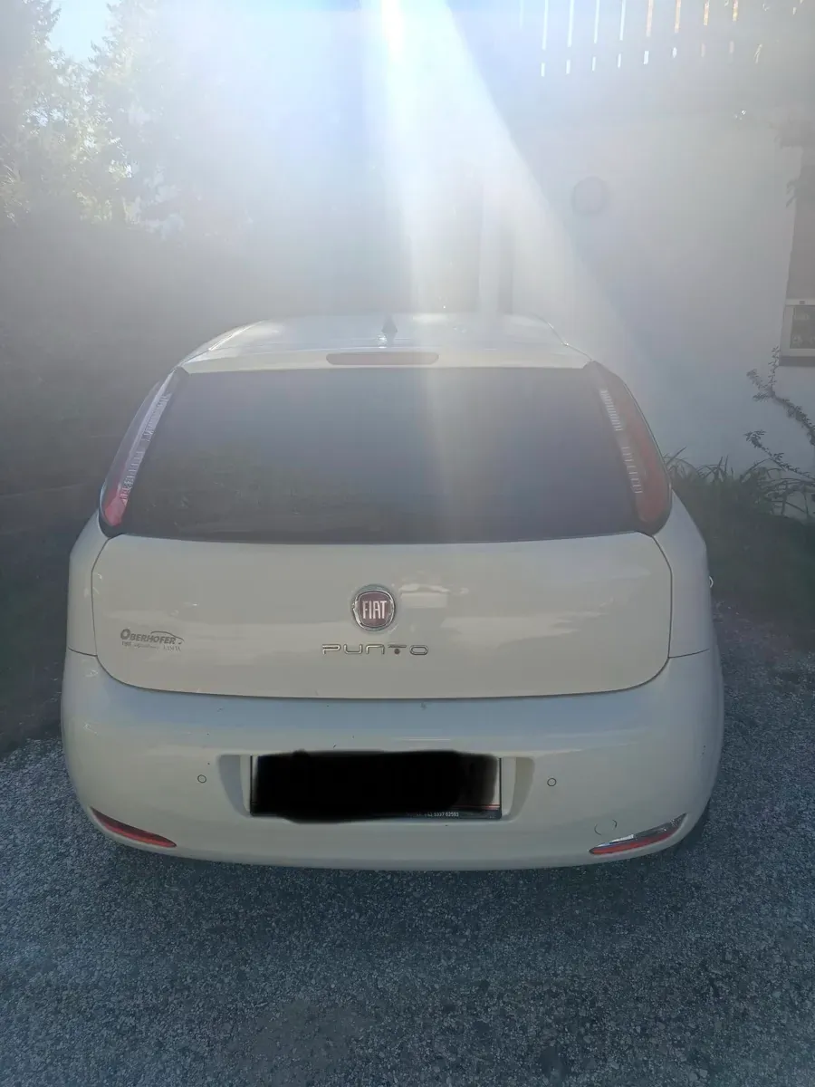 Fiat Punto 2012 photo 2