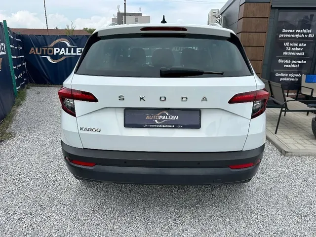 Skoda Karoq 2019 photo 4