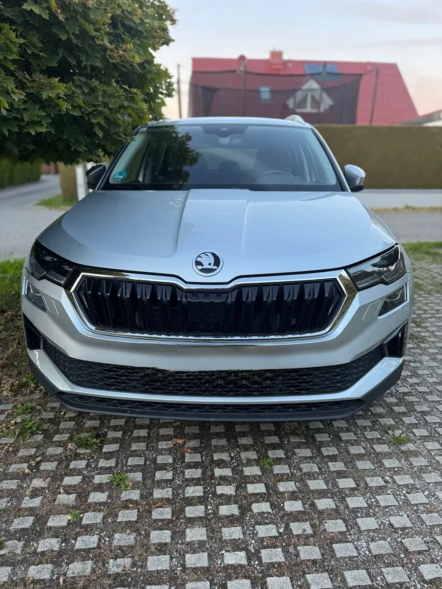 Skoda Karoq 2023 photo 3