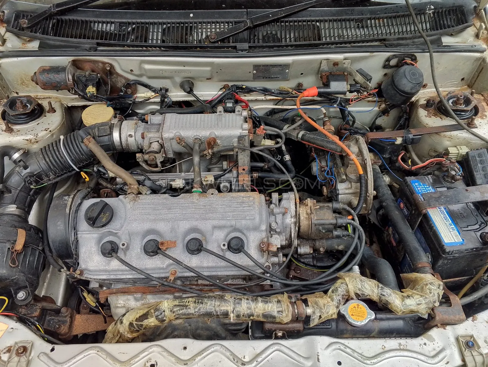 Suzuki Cultus