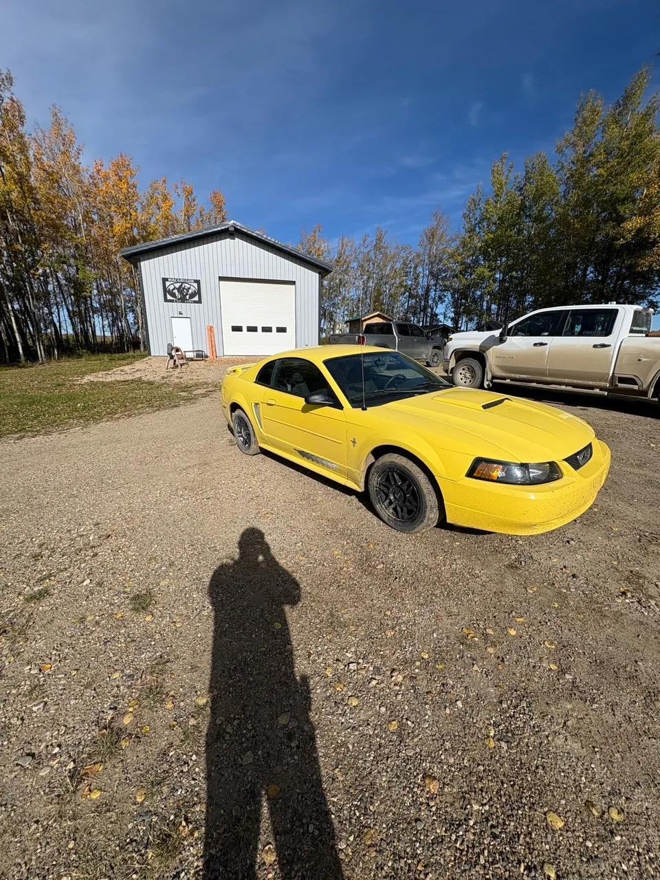 Ford Mustang 2003 photo 3