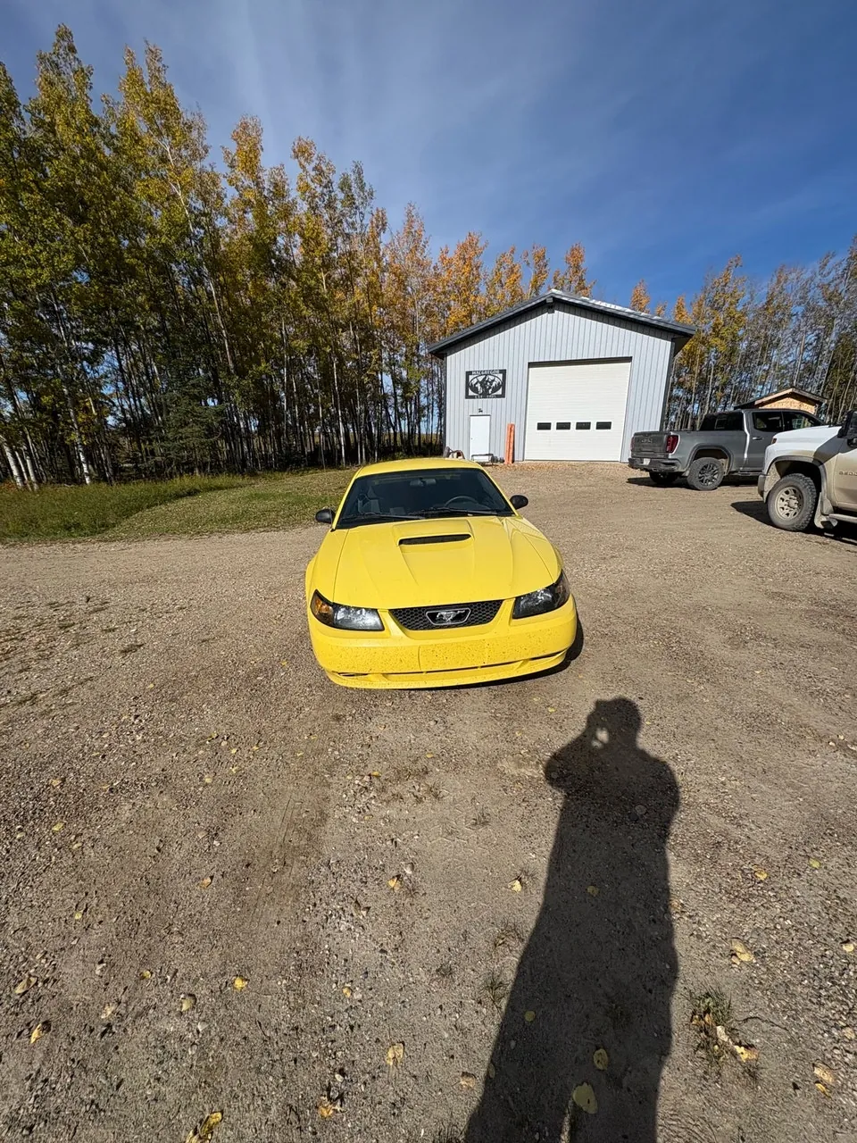 Ford Mustang 2003 photo 4