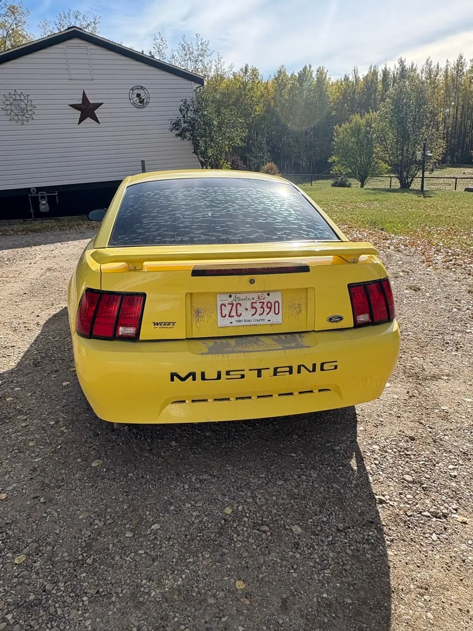 Ford Mustang 2003 photo 2