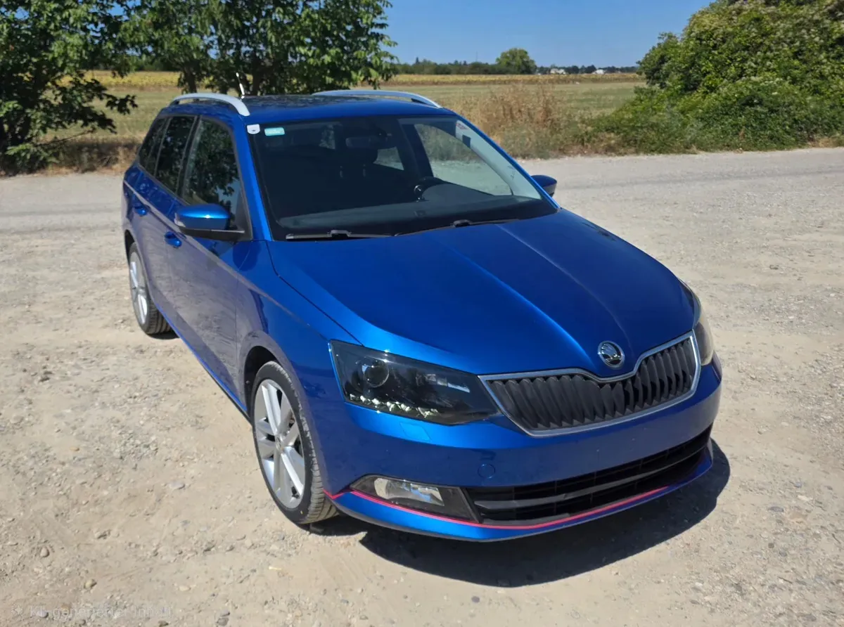 Skoda Fabia 2016 photo 2