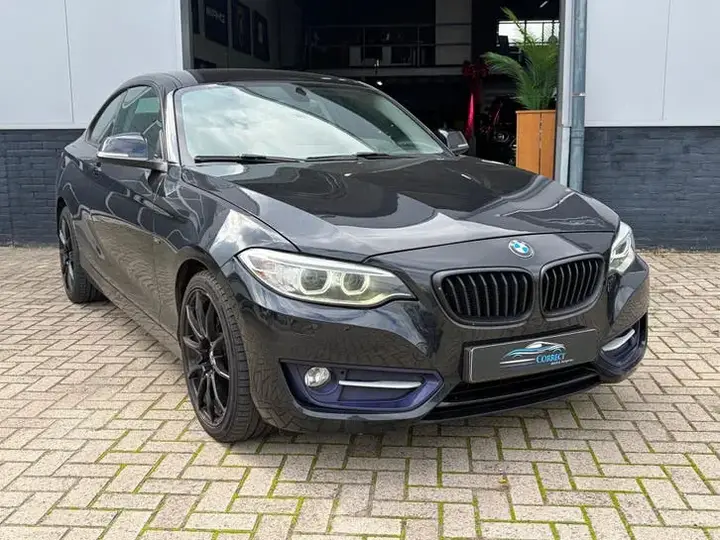 BMW 2 Series 2014 photo 2