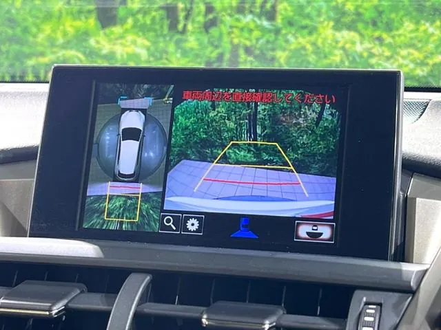 Lexus Nx300H 2018 photo 3