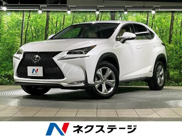 Lexus Nx300H