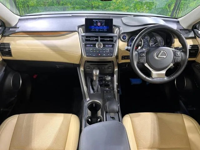 Lexus Nx300H 2018 photo 2