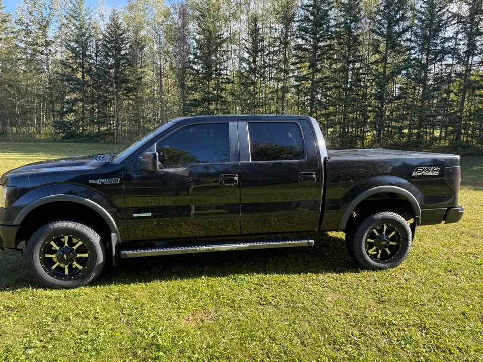 Ford F-150 2012 photo 2