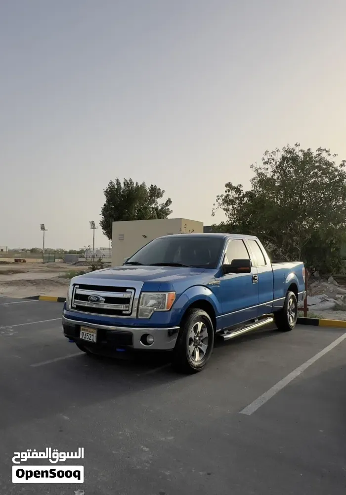 Ford F-150 2013 photo 4