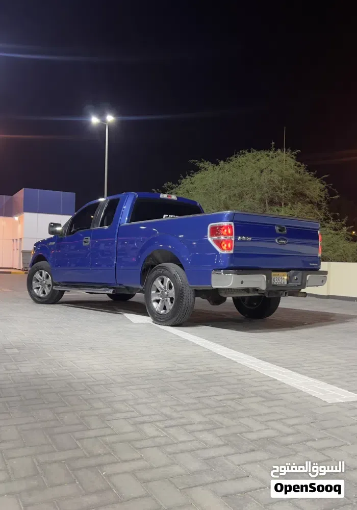 Ford F-150 2013 photo 3