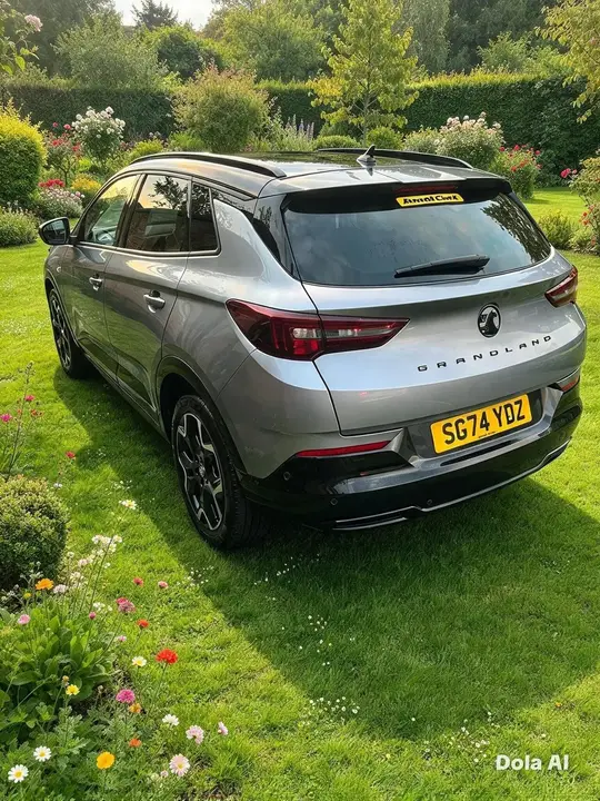 Vauxhall Grandland 2024 photo 2