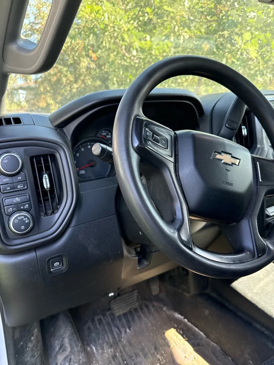 Chevrolet Silverado 1500 2020 photo 2