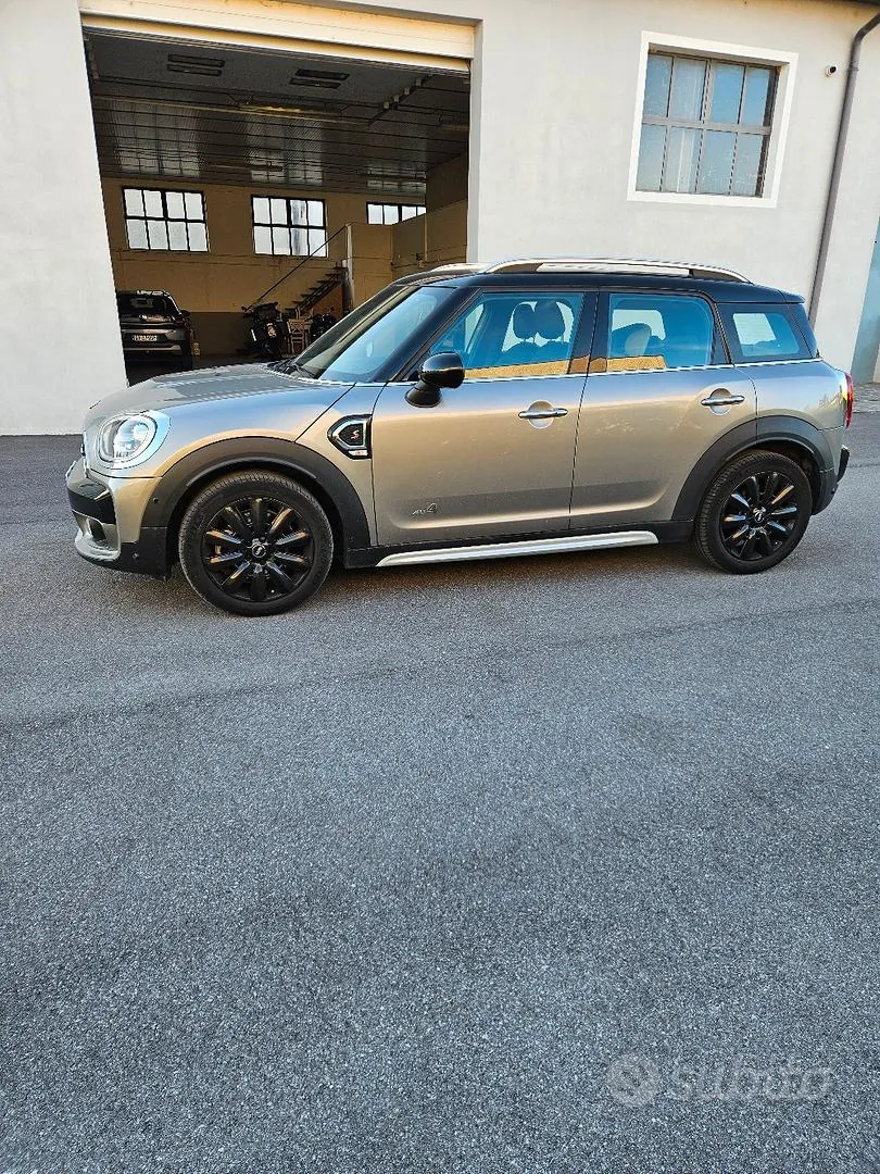 Mini Mini Countryman
