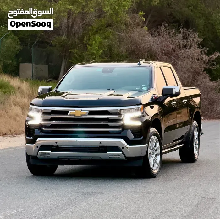 Chevrolet Silverado 2022 photo 2