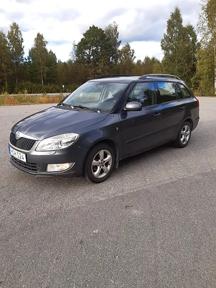 Skoda Fabia 2011 photo 2