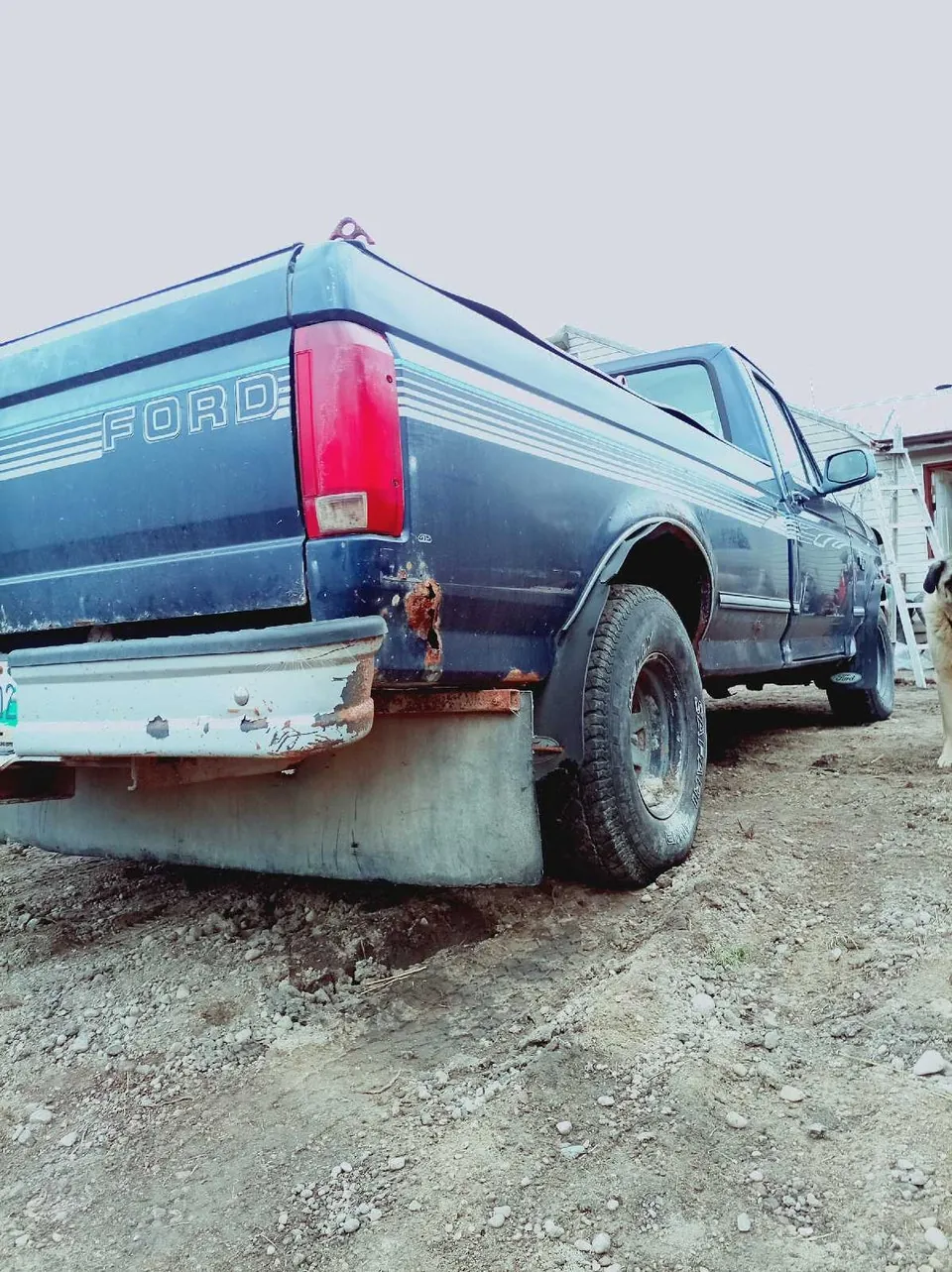 Ford F-150 1994 photo 4