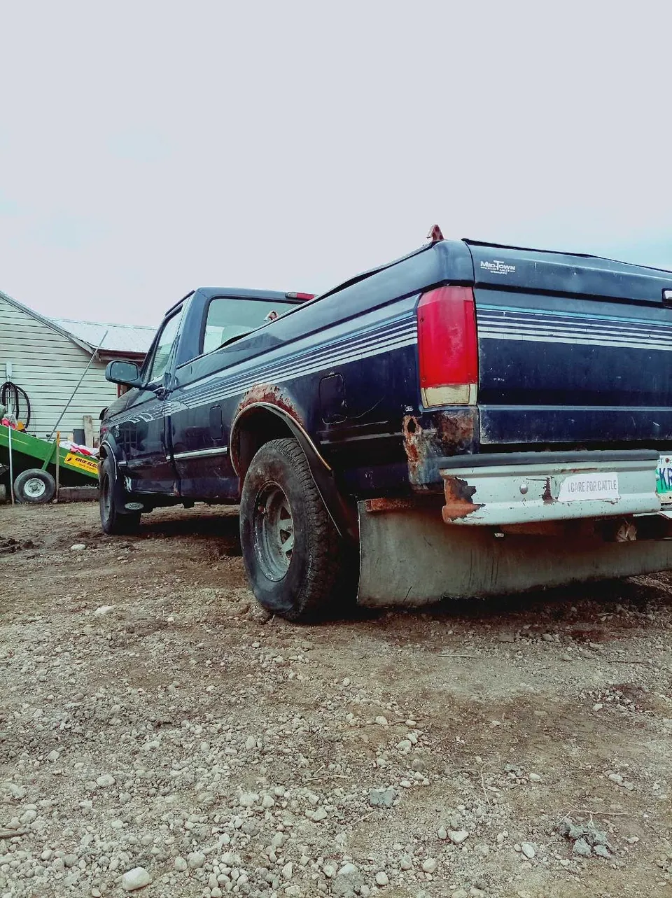 Ford F-150 1994 photo 3