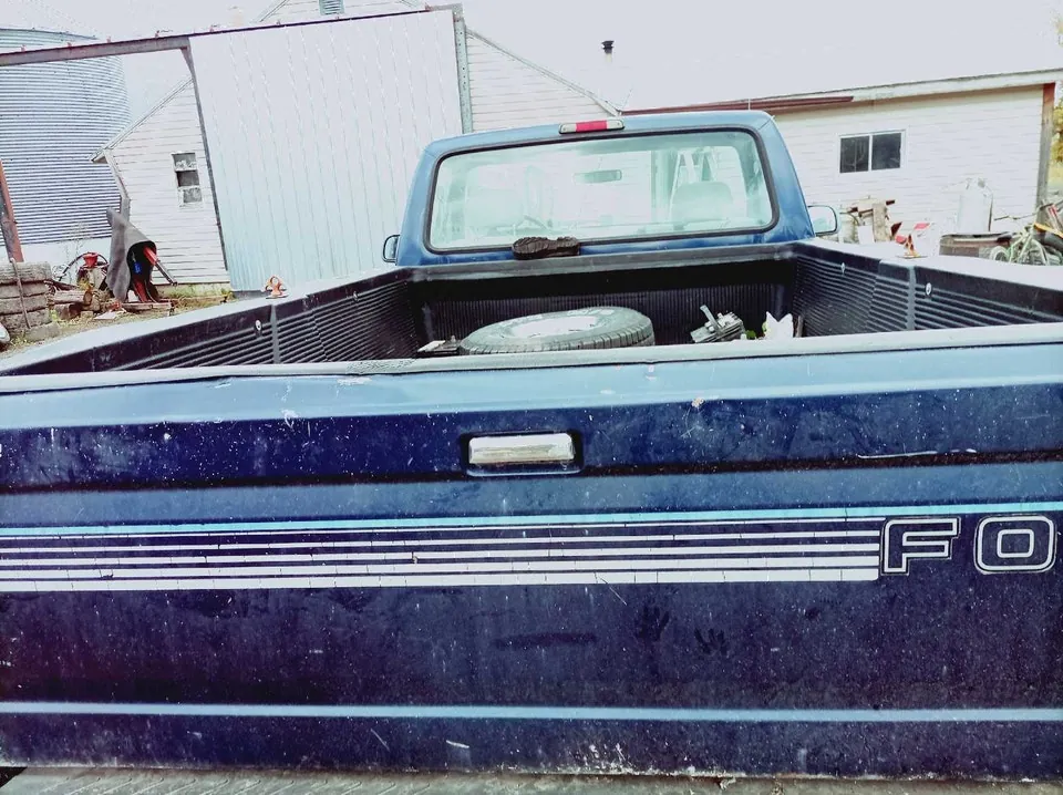 Ford F-150 1994 photo 2