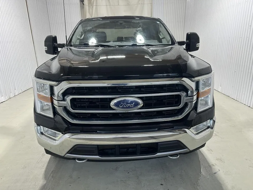 Ford F-150 2021 photo 3