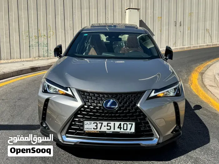 Lexus Ux 300H 2022 photo 3
