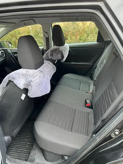 Toyota Auris 2017 photo 5
