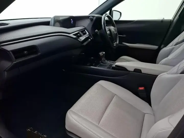 Lexus Ux 2020 photo 5