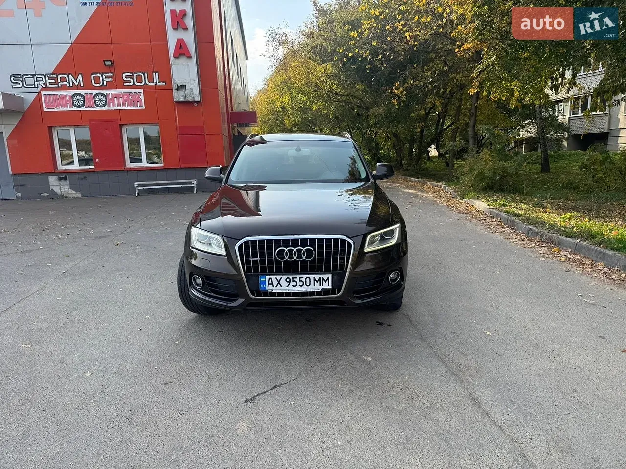 Audi Q5 2013 photo 2
