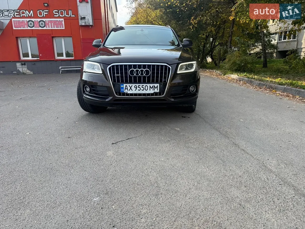 Audi Q5 2013 photo 3