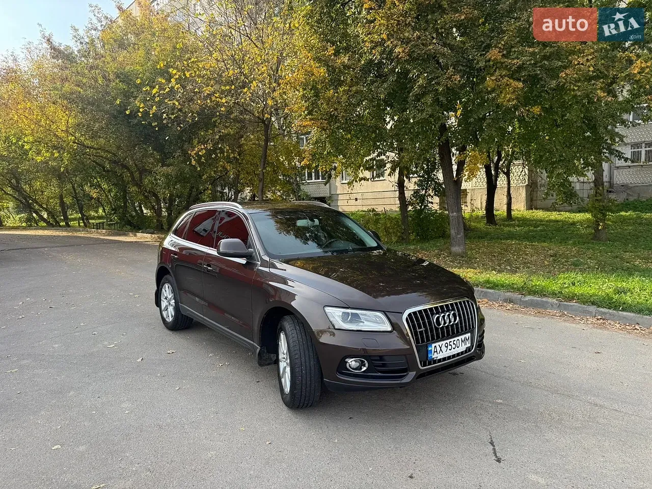 Audi Q5 2013 photo 4