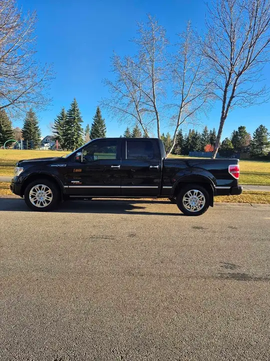 Ford F-150 2014 photo 2
