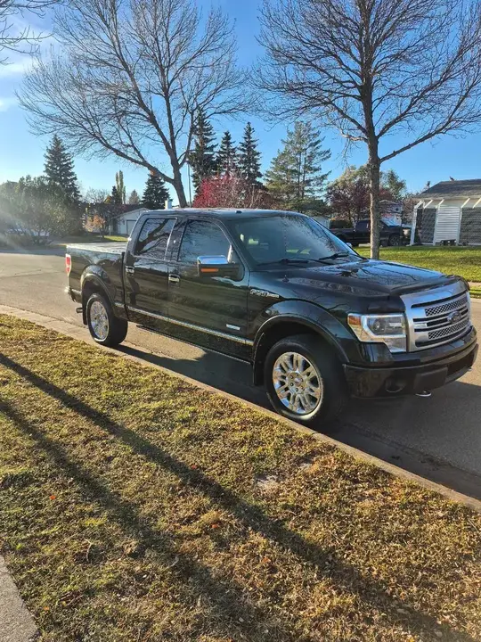 Ford F-150 2014 photo 3