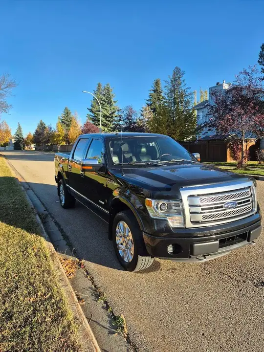 Ford F-150 2014 photo 5