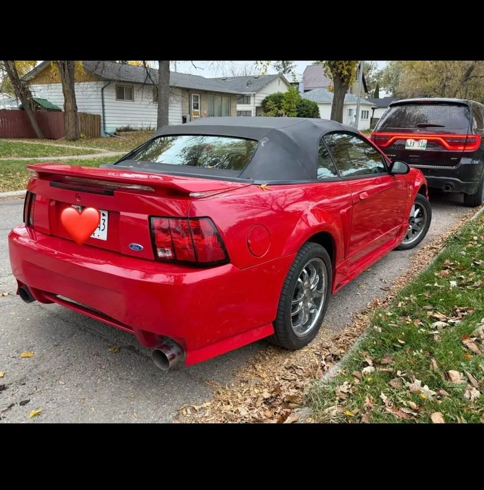 Ford Mustang 2002 photo 3