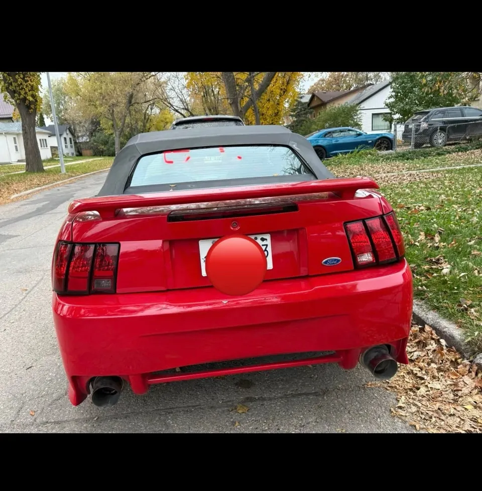 Ford Mustang 2002 photo 5
