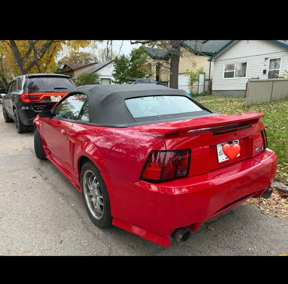Ford Mustang 2002 photo 4