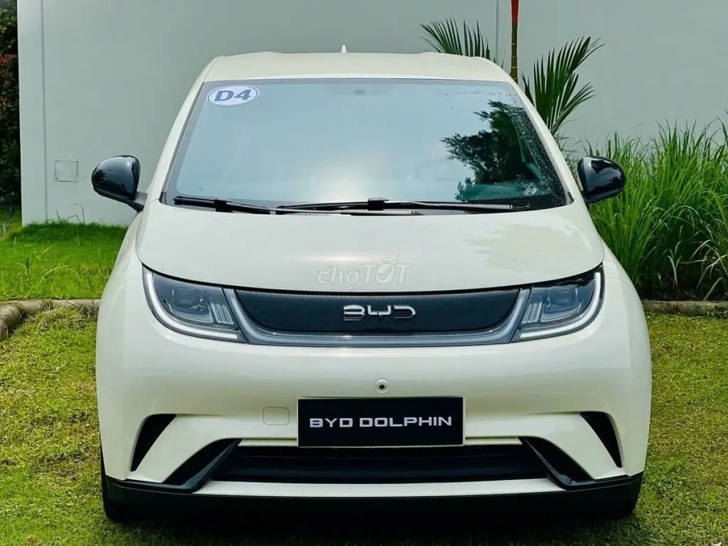 BYD Dolphin